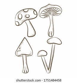 concept of vector image of mushroom, mushroom illustration in red