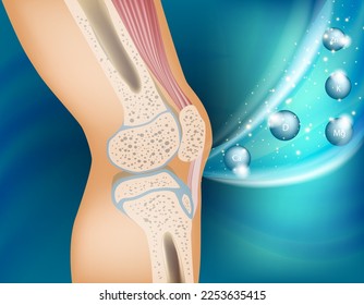 The concept of vitamins therapy for the healthy knee joint. Knee bone human anatomy.