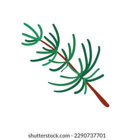 Concept Winter Christmas botany branch. This Christmas tree illustration is beautifully crafted in a minimalist and modern style, featuring a flat vector design with a branch. Vector illustration.