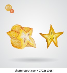 Concepted Poly Carambola fruit isolated. Vector version