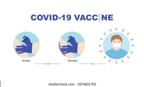 Concepts of mRNA vaccine for coronavirus protection. Illustration of vaccine injection in two doses and a man with antibody against covid-19.