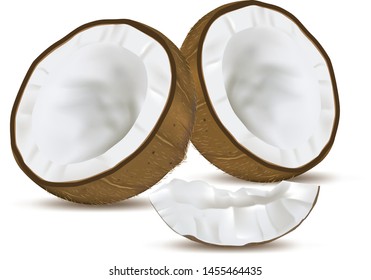 Concepts of processing natural products. Coconut cut in half and cut pieces on the White Blackground. Is a vector image