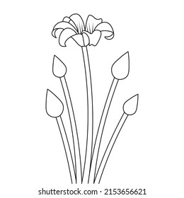 conceptual creative line art flower coloring with hand drawn shape on white background