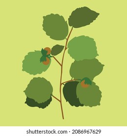 Conceptual design of ornamental plant or leaf vector illustration, great for icon drawing, plant illustration, plant decoration, decoration