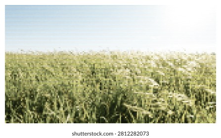 Conceptual digital art featuring horizontal line interference applied to lush green meadow with sunlight beams casting a dreamlike atmosphere in open field landscape.