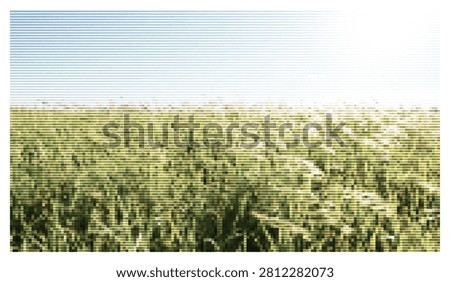 Conceptual digital art featuring horizontal line interference applied to lush green meadow with sunlight beams casting a dreamlike atmosphere in open field landscape.
