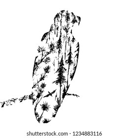 Conceptual drawing of an eagle shape with forest on background. Double exposure effect used.