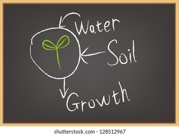 Conceptual hand drawn growth flow chart on black chalkboard. Vector Illustration