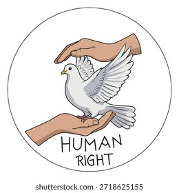 Ilustración conceptual de manos humanas protegiendo suavemente una paloma blanca que simboliza los derechos humanos, la paz, la libertad y la protección. Estilo de Vector minimalista que representa la humanidad, el cuidado, la armonía y los valores humanos globales. Adecuado para campañas sociales, educación, caridad, carteles de sensibilización y diseños de promoción.