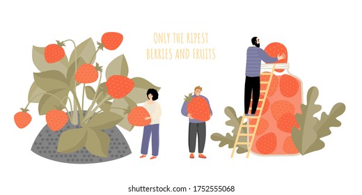 Conceptual image of people cooking jam from huge strawberries. Harvesting and processing ripe berries. Vector image in flock style.