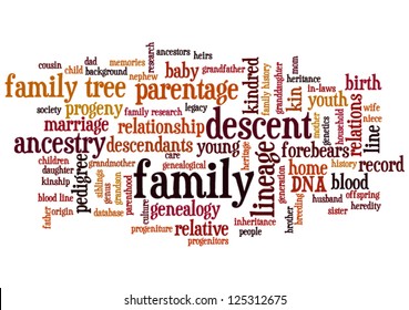 Conceptual image of tag cloud containing words related to family, genealogy and family history research, horizontal orientation