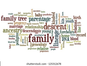 Conceptual image of tag cloud containing words related to family, genealogy and family history research, horizontal orientation