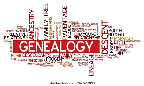 Conceptual Image Of Tag Cloud Containing Words Related To Genealogy And Family History Research