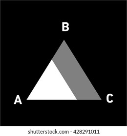 Conceptual infographic simple traingle chart | modern flat design illustration of infographics elements white on black background