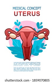 conceptual medical vertical poster on white background, icon of internal organ surrounded by leaves of microflora of the organism, health and treatment of diseases, female genitals uterus