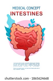 conceptual medical vertical poster on white background, icon of internal organ surrounded by leaves of microflora of the organism, health and treatment of diseases digestive, intestine