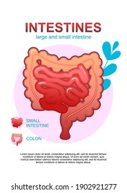 conceptual medical vertical poster on white background, icon of internal organ surrounded by leaves of microflora of the organism, health and treatment of diseases digestive, intestine