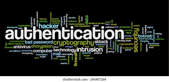 Conceptual tag cloud containing words related to authentication, internet security, networking and privacy and cyberwar.