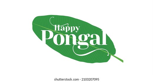 Conceptual Typography - Happy Pongal, an South Indian Festival. Editable Illustration of Banana Leaf.