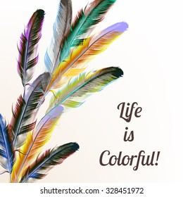 Conceptual vector background with colorful feathers life are bright and colorful