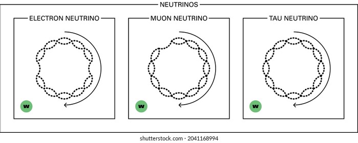 Conceptual vector illustration of the fundamental particles of standard model, the electron, tau and muon neutrinos, and their proprieties: mass, color, charge, flavour, spin and interaction forces.