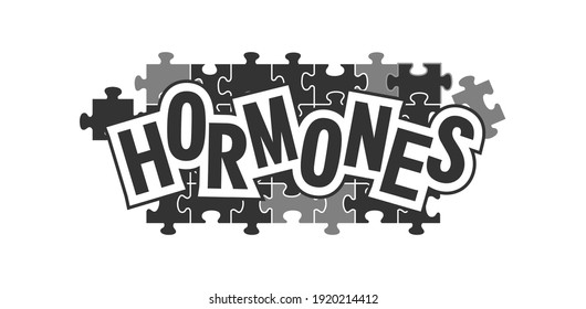 conceptual vector illustration human hormones puzzles one picture, lack of elements on a white background