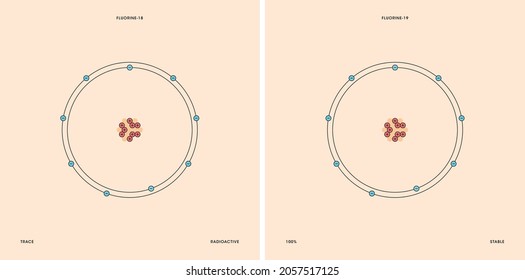 Conceptual vector representation of a fluorine atom and its natural isotopes: fluorine-18 with nine neutrons, and fluorine-19 with ten neutrons. 