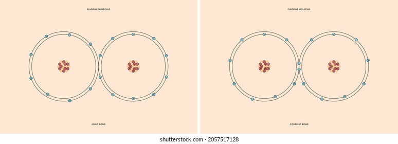 Conceptual Vector Representation Of A Fluorine Molecule, Made Up Of Two Atoms, And The Types Of Chemical Bonds: Covalent, Atoms Sharing Electrons, And Ionic, An Atom Gives An Electron To Another Atom.