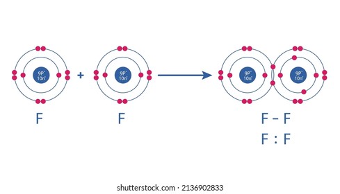 Representación conceptual vectorial de una molécula fluorina, compuesta por dos átomos, y los tipos de vínculos químicos: covalente, átomos que comparten electrones, e iónico, un átomo da un electrón a otro átomo.