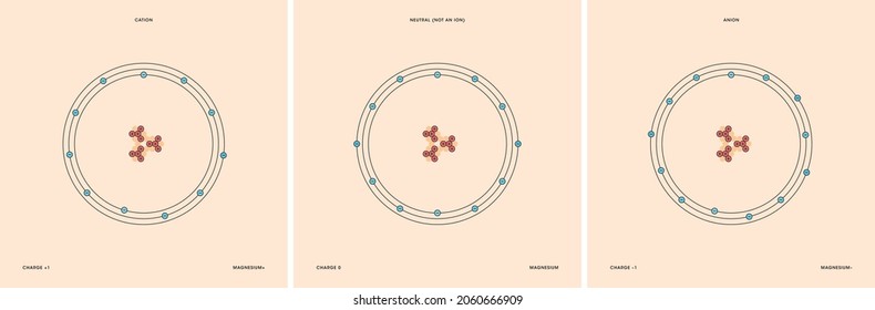 Conceptual vector representation of a magnesium atom and its ions: a cation with less electrons than protons and positive charge, and an anion with more electrons than protons and negative charge.
