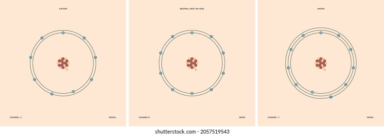 Conceptual vector representation of a neon atom and its ions: a cation with less electrons than protons and positive charge, and an anion with more electrons than protons and negative charge.