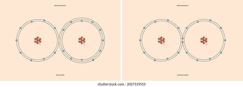 Conceptual Vector Representation Of A Neon Molecule, Made Up Of Two Atoms, And The Types Of Chemical Bonds: Covalent, Atoms Sharing Electrons, And Ionic, An Atom Gives An Electron To Another Atom. 