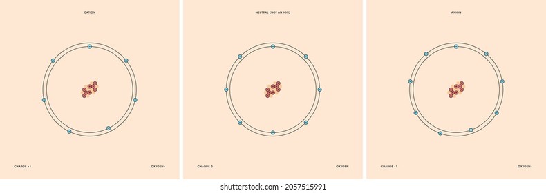 Conceptual vector representation of a oxygen atom and its ions: a cation with less electrons than protons and positive charge, and an anion with more electrons than protons and negative charge.