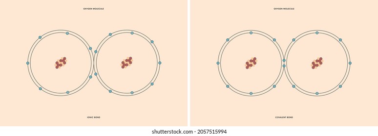 Conceptual Vector Representation Of A Oxygen Molecule, Made Up Of Two Atoms, And The Types Of Chemical Bonds: Covalent, Atoms Sharing Electrons, And Ionic, An Atom Gives An Electron To Another Atom. 