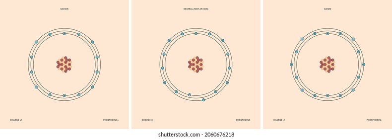 Conceptual vector representation of a phosphorus atom and its ions: a cation with less electrons than protons and positive charge, and an anion with more electrons than protons and negative charge.