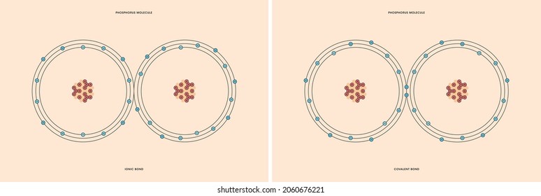 Conceptual Vector Representation Of A Phosphorus Molecule, Made Up Of Two Atoms, And The Types Of Chemical Bonds: Covalent, Atoms Sharing Electrons, And Ionic, An Atom Gives An Electron To Another