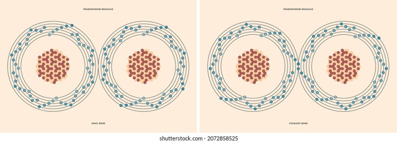 Conceptual Vector Representation Of A Praseodymium Molecule, Made Up Of Two Atoms, And The Types Of Chemical Bonds: Covalent, Atoms Sharing Electrons, And Ionic, An Atom Gives An Electron To Another