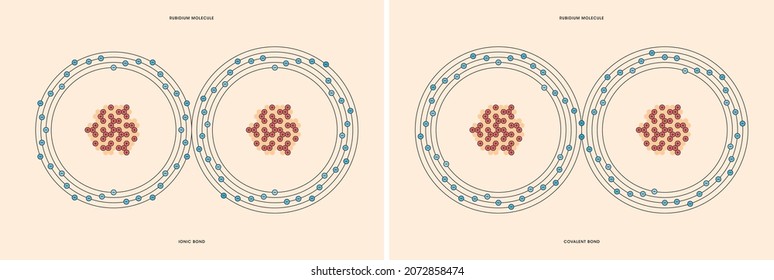 Conceptual Vector Representation Of A Rubidium Molecule, Made Up Of Two Atoms, And The Types Of Chemical Bonds: Covalent, Atoms Sharing Electrons, And Ionic, An Atom Gives An Electron To Another Atom.