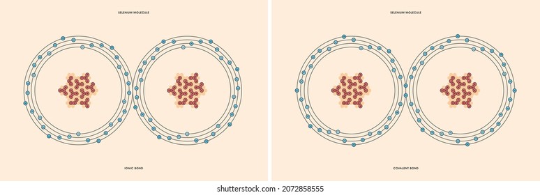 Conceptual Vector Representation Of A Selenium Molecule, Made Up Of Two Atoms, And The Types Of Chemical Bonds: Covalent, Atoms Sharing Electrons, And Ionic, An Atom Gives An Electron To Another Atom.