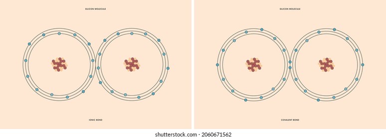 Conceptual vector representation of a silicon molecule, made up of two atoms, and the types of chemical bonds: covalent, atoms sharing electrons, and ionic, an atom gives an electron to another atom. 
