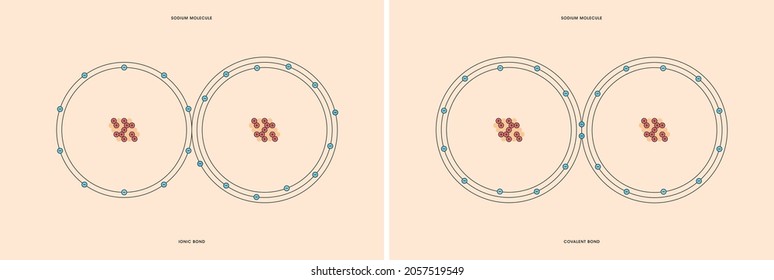 Conceptual vector representation of a sodium molecule, made up of two atoms, and the types of chemical bonds: covalent, atoms sharing electrons, and ionic, an atom gives an electron to another atom. 