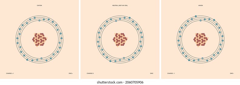Conceptual vector representation of a zinc atom and its ions: a cation with less electrons than protons and positive charge, and an anion with more electrons than protons and negative charge.
