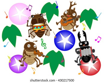 Concert of the summer insect