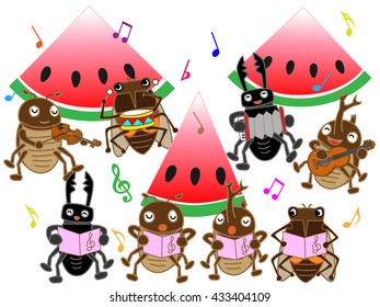 Concert of the summer insect