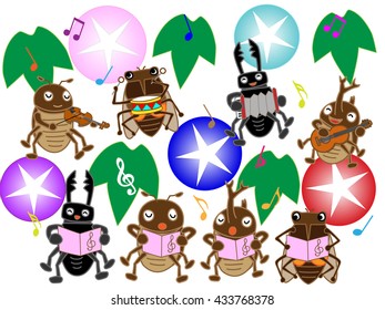 Concert of the summer insect