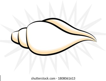 Conch Calligraphic design Vector art Illustration