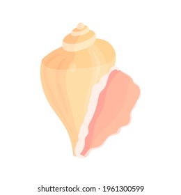 Conch flat cartoon vector Illustration isolated on white background. Colorful tropical beach shell underwater icon. Aquatic nature.