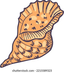 Conch icon. Hand drawn nautical shell sketch
