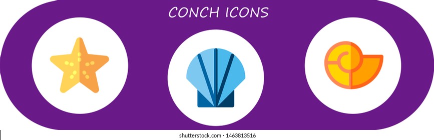 conch icon set. 3 flat conch icons.  Simple modern icons about  - starfish, seashell