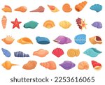 Conch icons set cartoon vector. Shell beach. Seashell nature